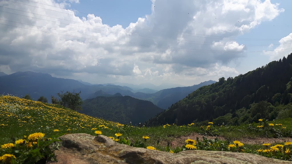 Monte Guglielmo da Pezzoro - foto 10