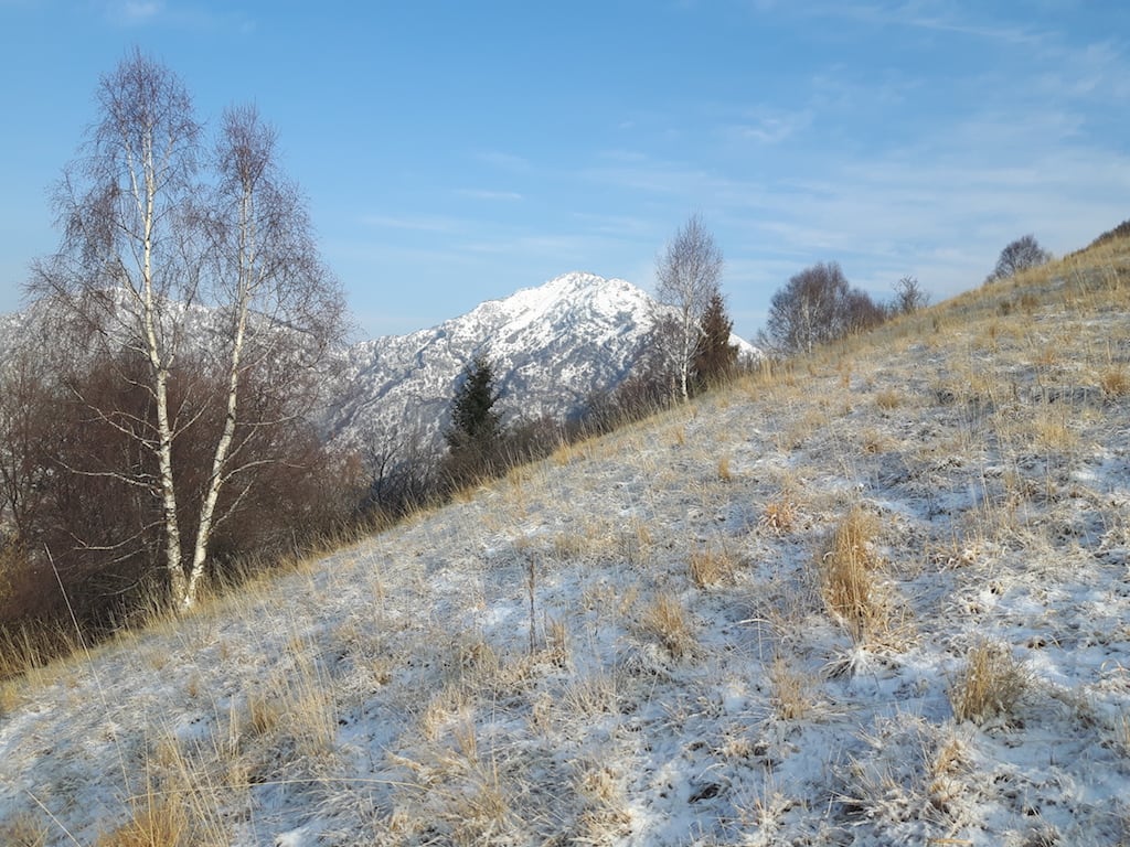 Monte Pizzocolo - foto 4