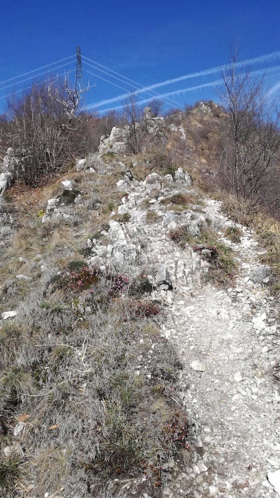 Monte Prealba - foto 7