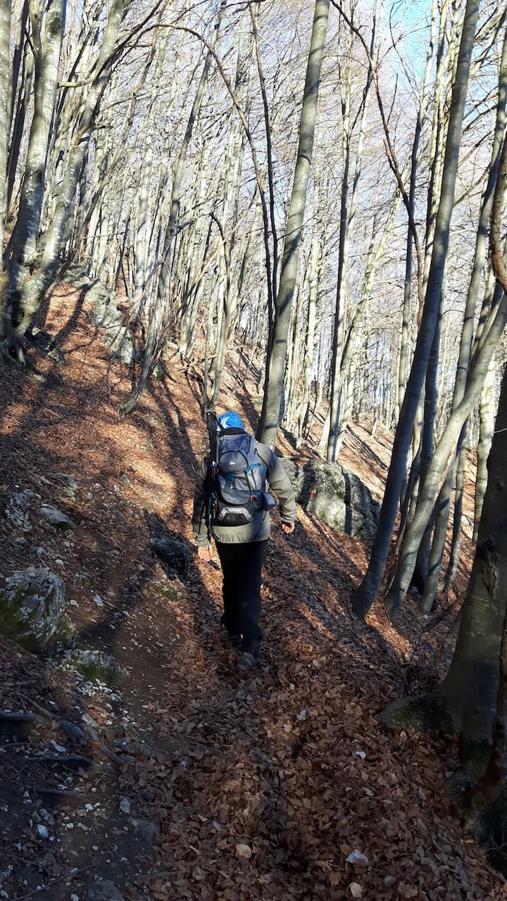 Monte Resegone - foto 6