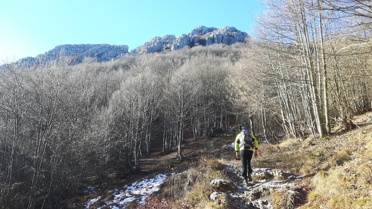 Monte Resegone - foto 7