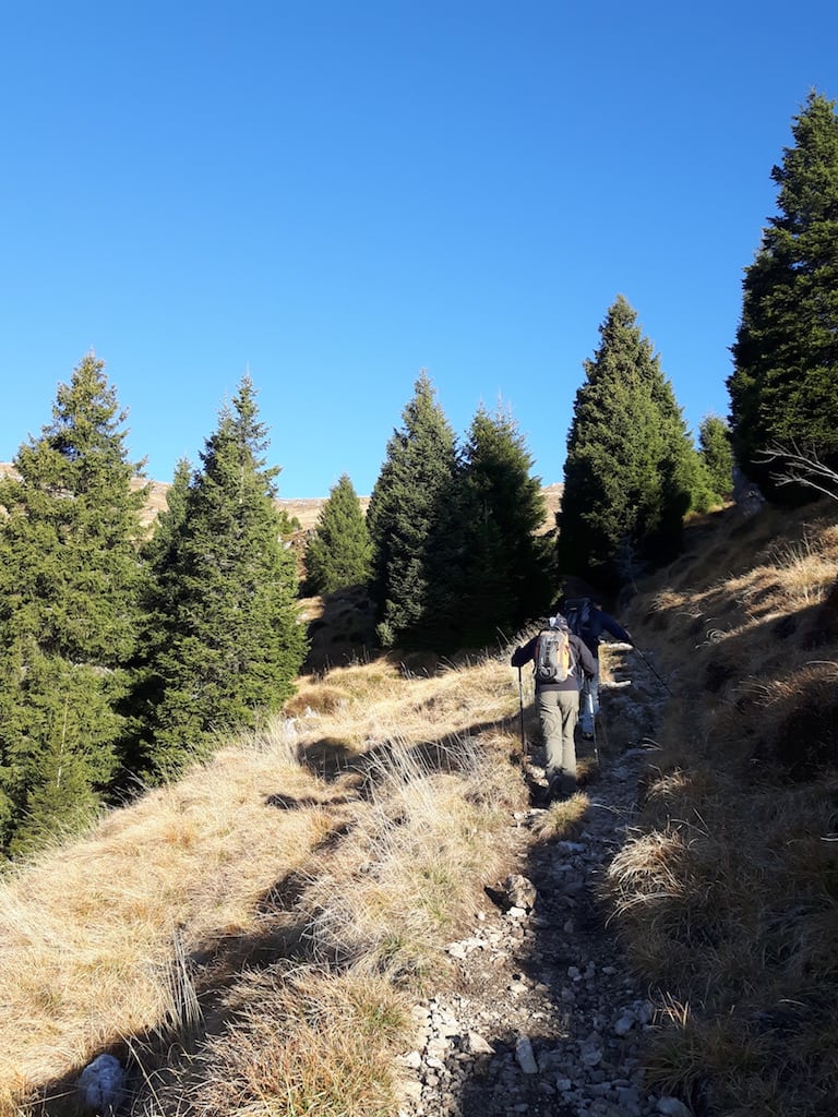 Monte Tombea - foto 7