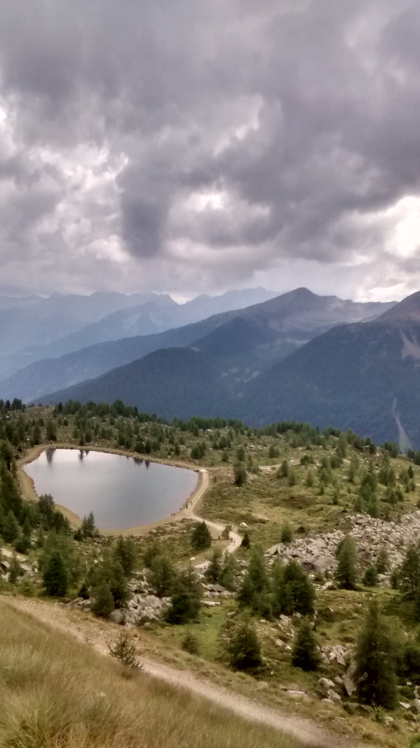 Monte Vioz - foto 16