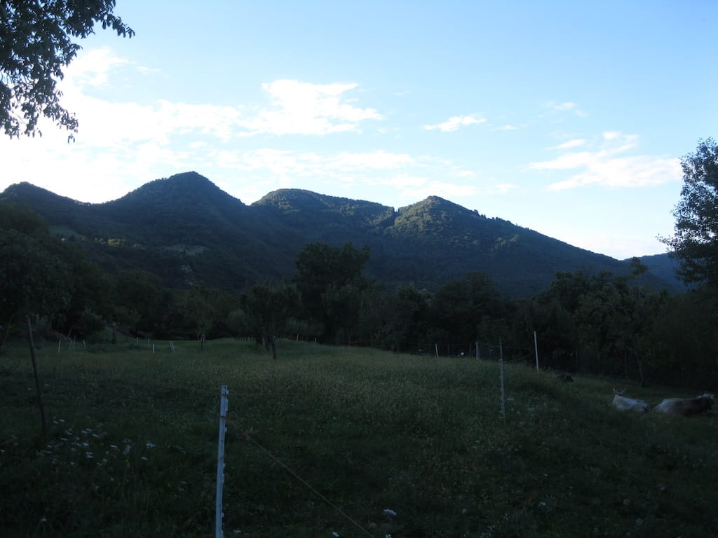 Punta Almana - foto 1