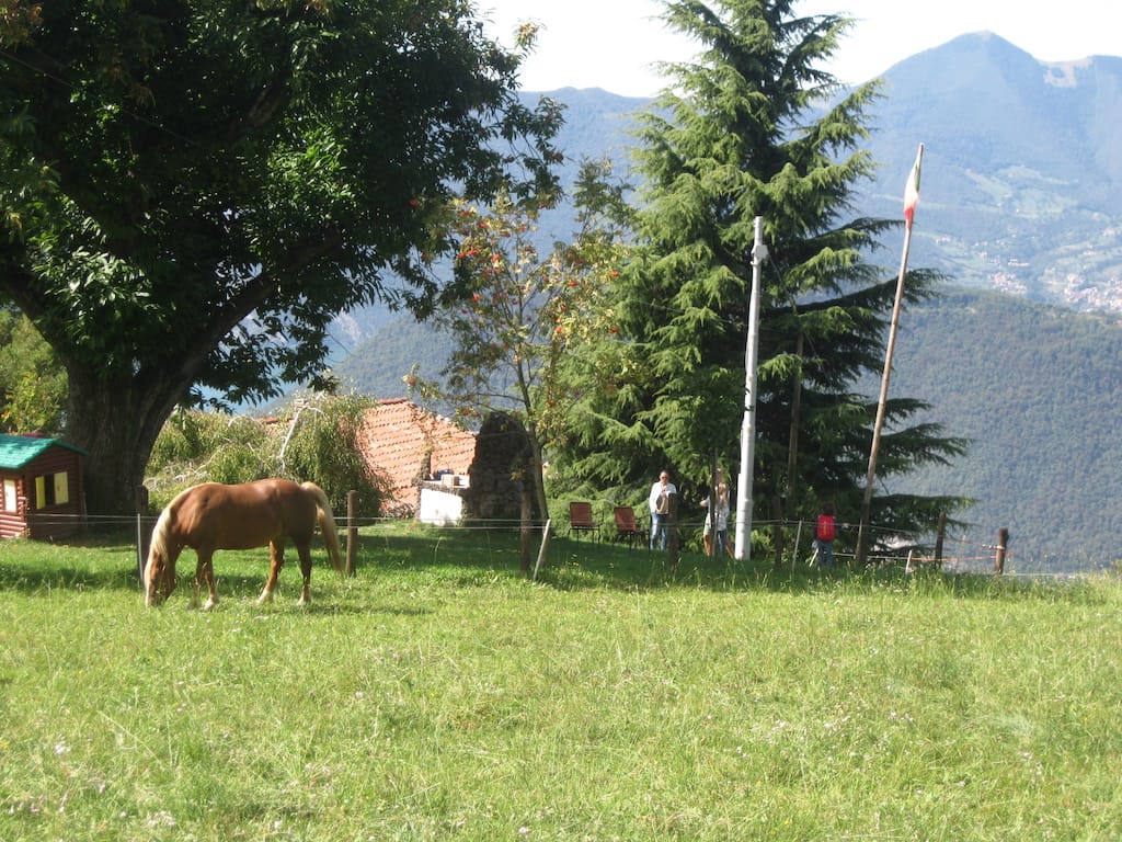 Punta Almana - foto 13