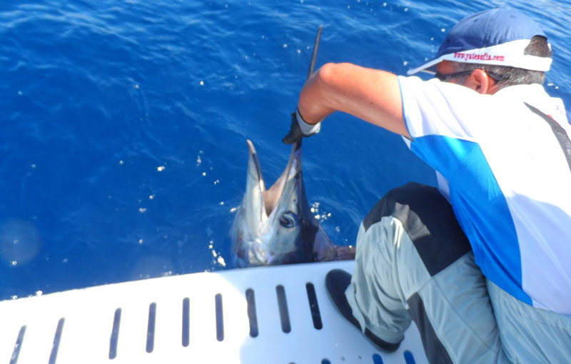 Pêche en Mer  - Miniature 4