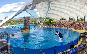 Activitées à ne pas rater - Image 1