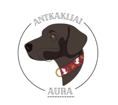 Antkakliai Aura