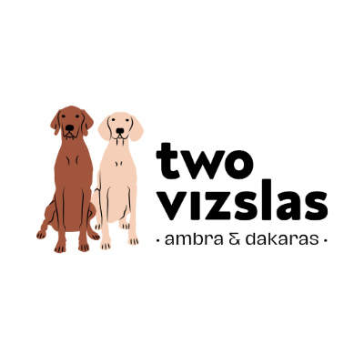 Twovizslas