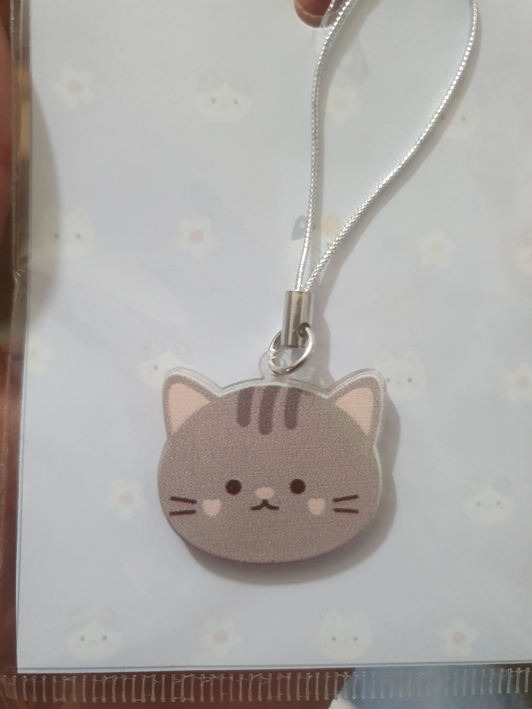 Gatito gris