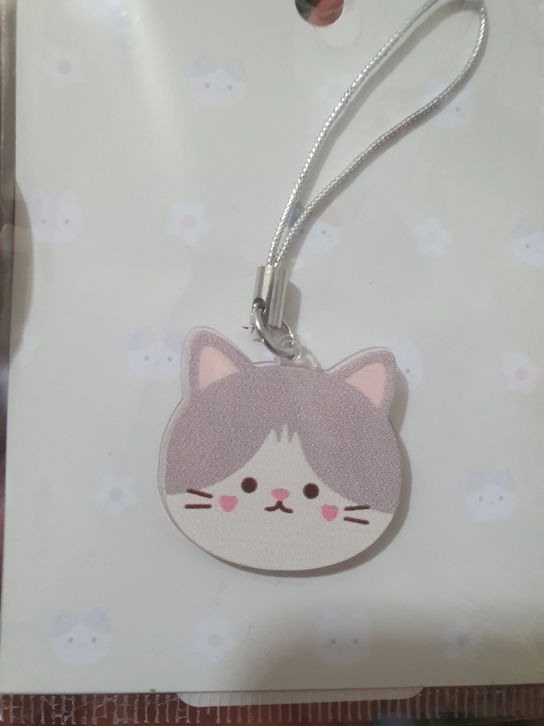 Gatito gris claro con blanco