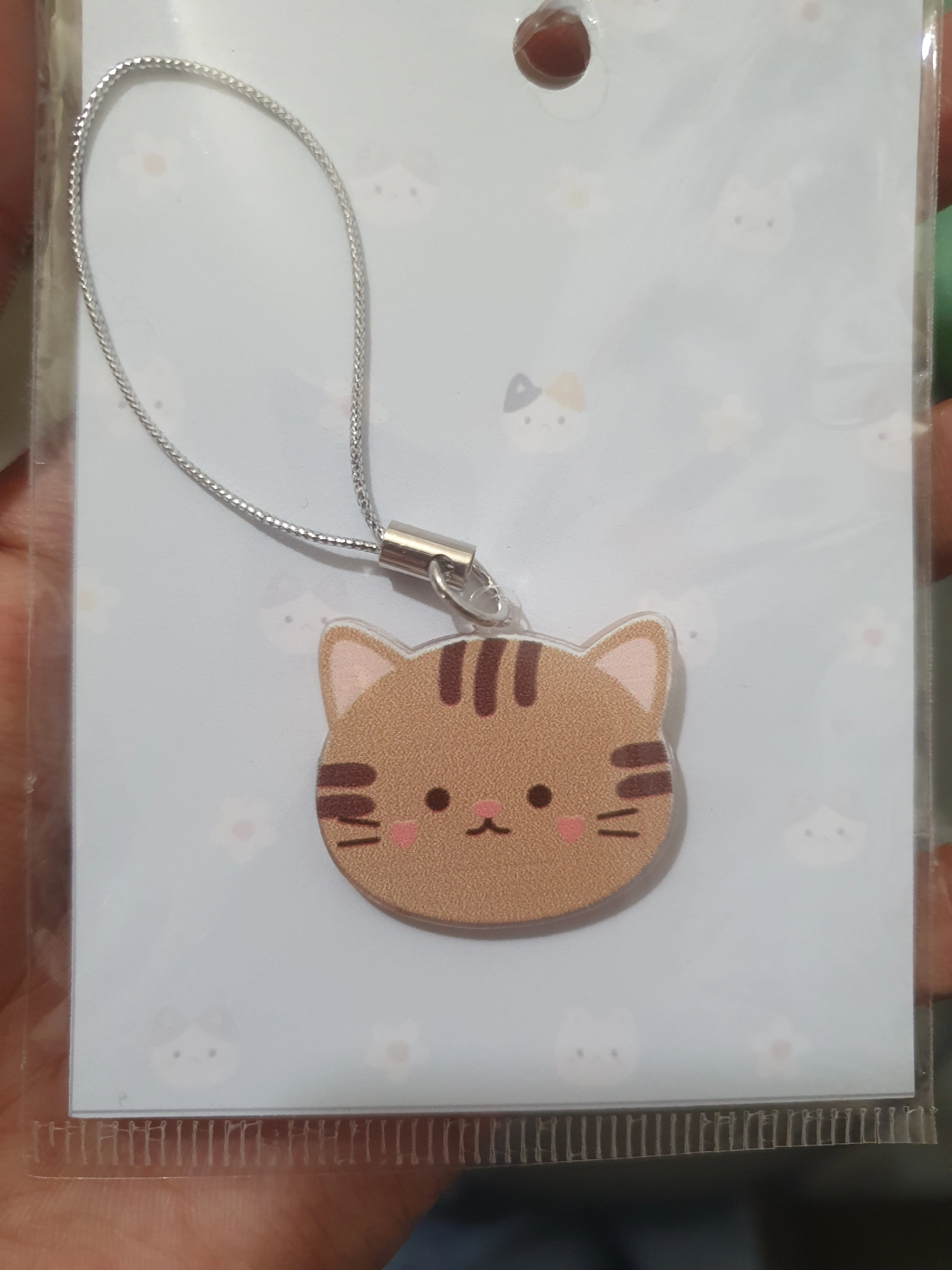 Gatito café