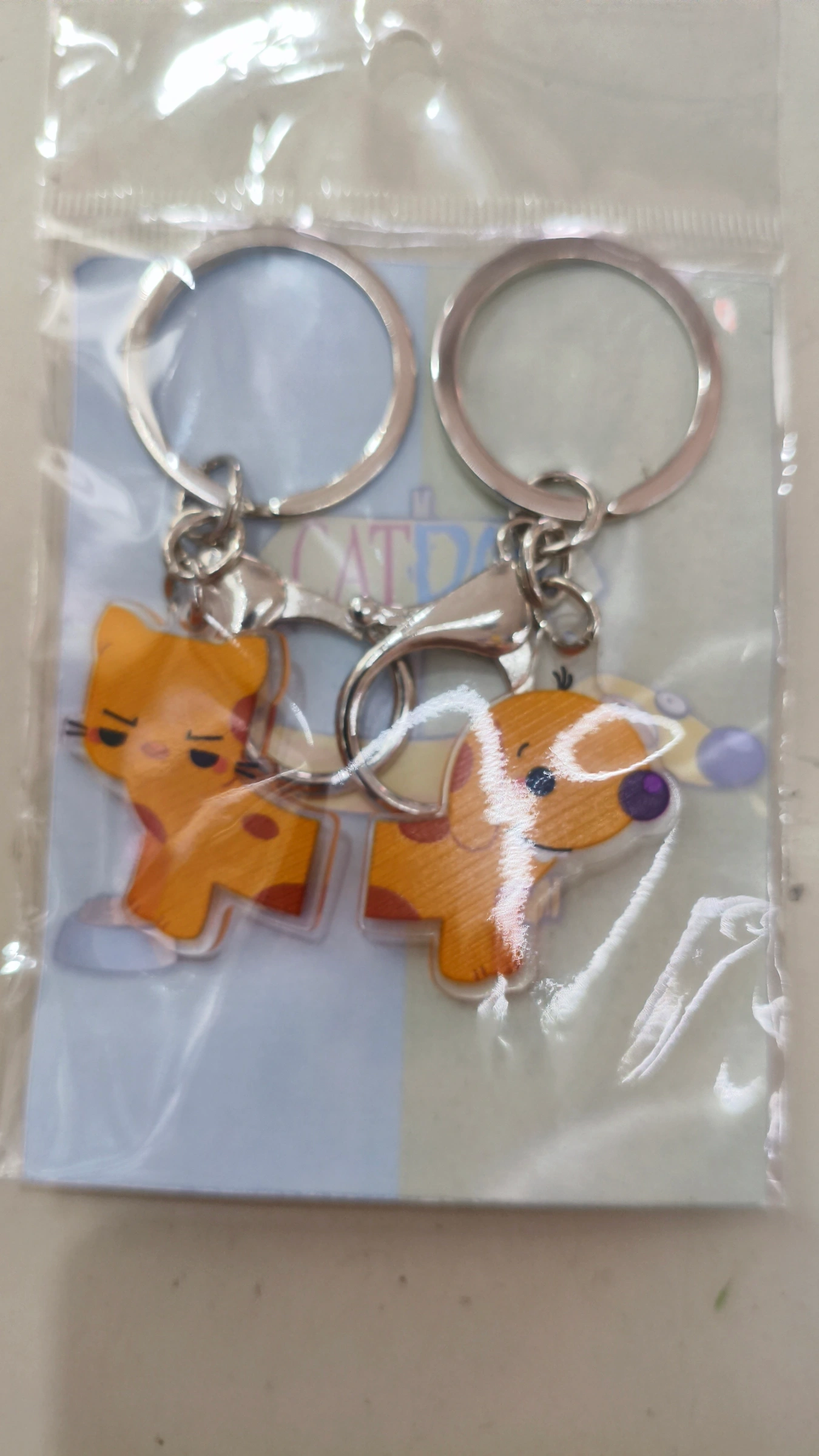 Cat & dog