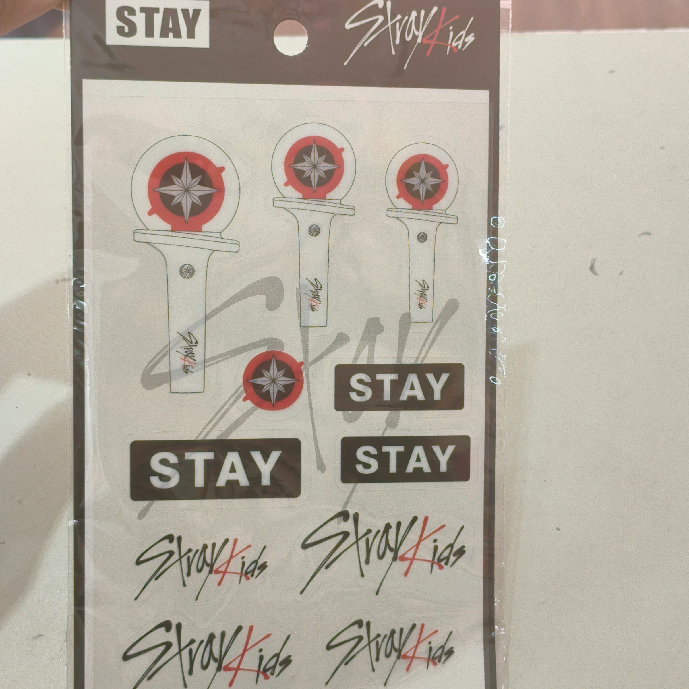 Stay/ stray kids