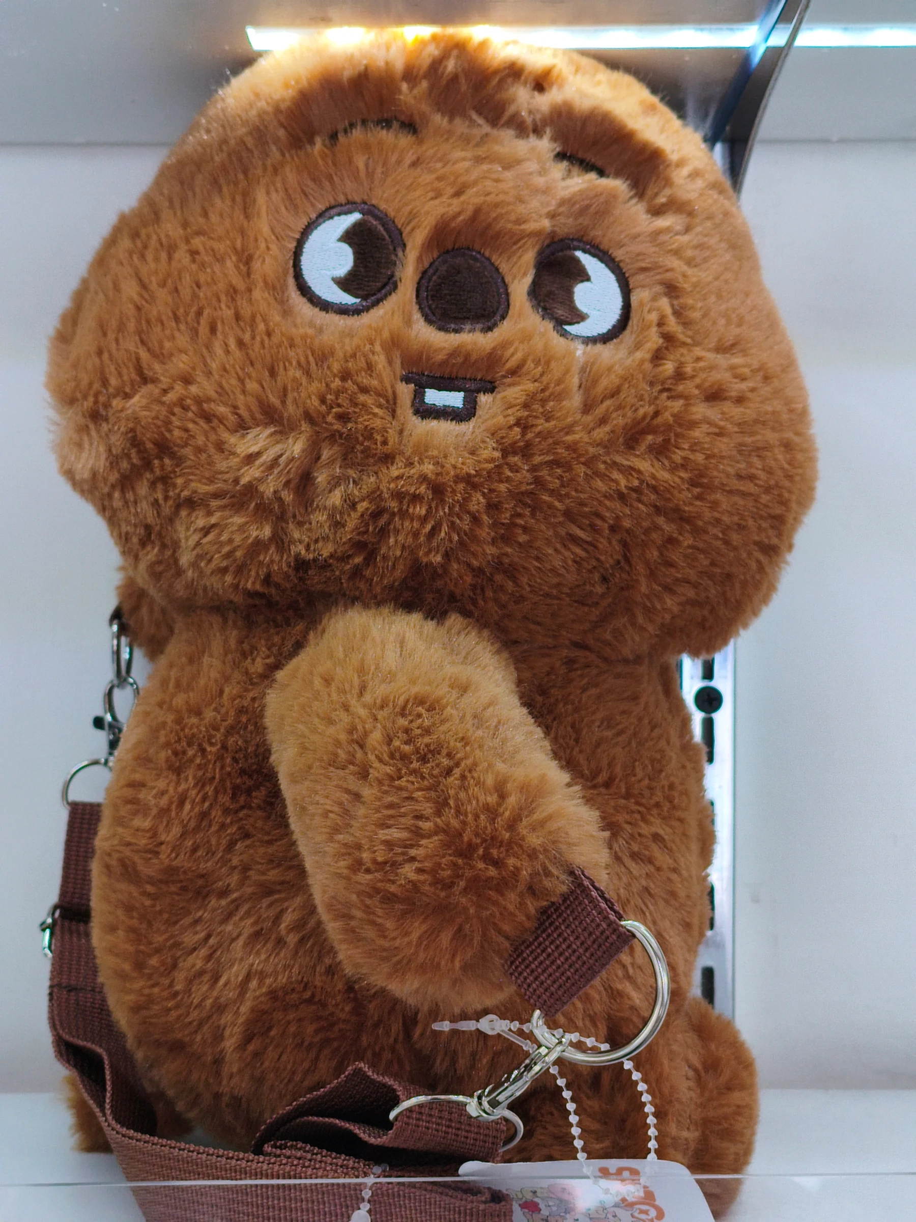 Quokka