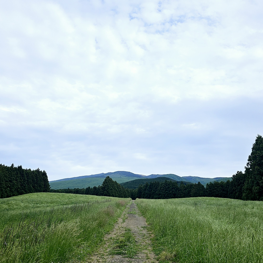 Shared place on amsma