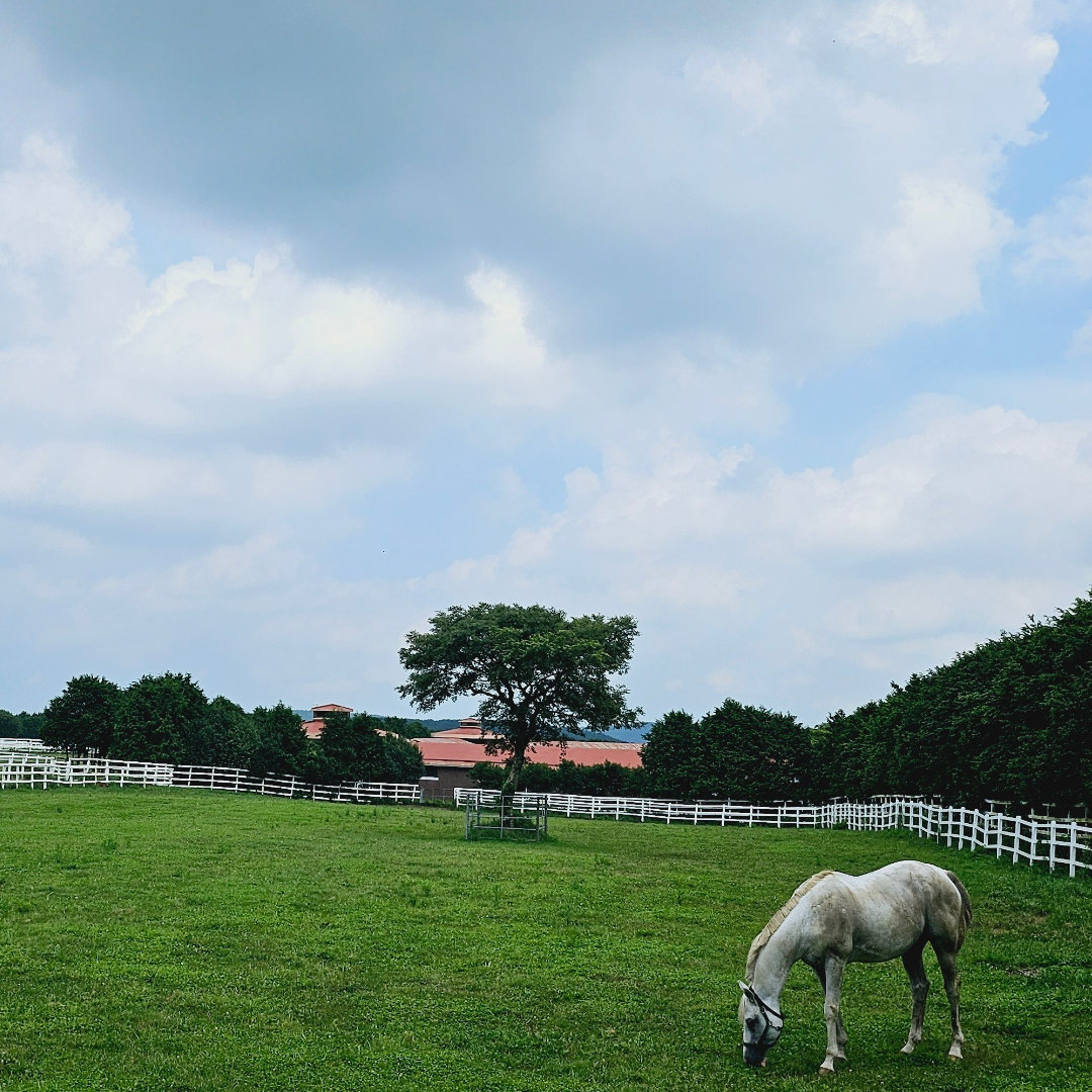 Shared place on amsma