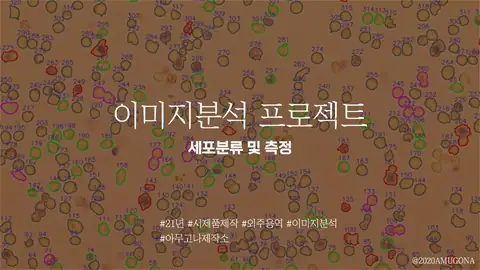 이미지 분석 및 딥러닝, 세포 분류 [ 2021 ]