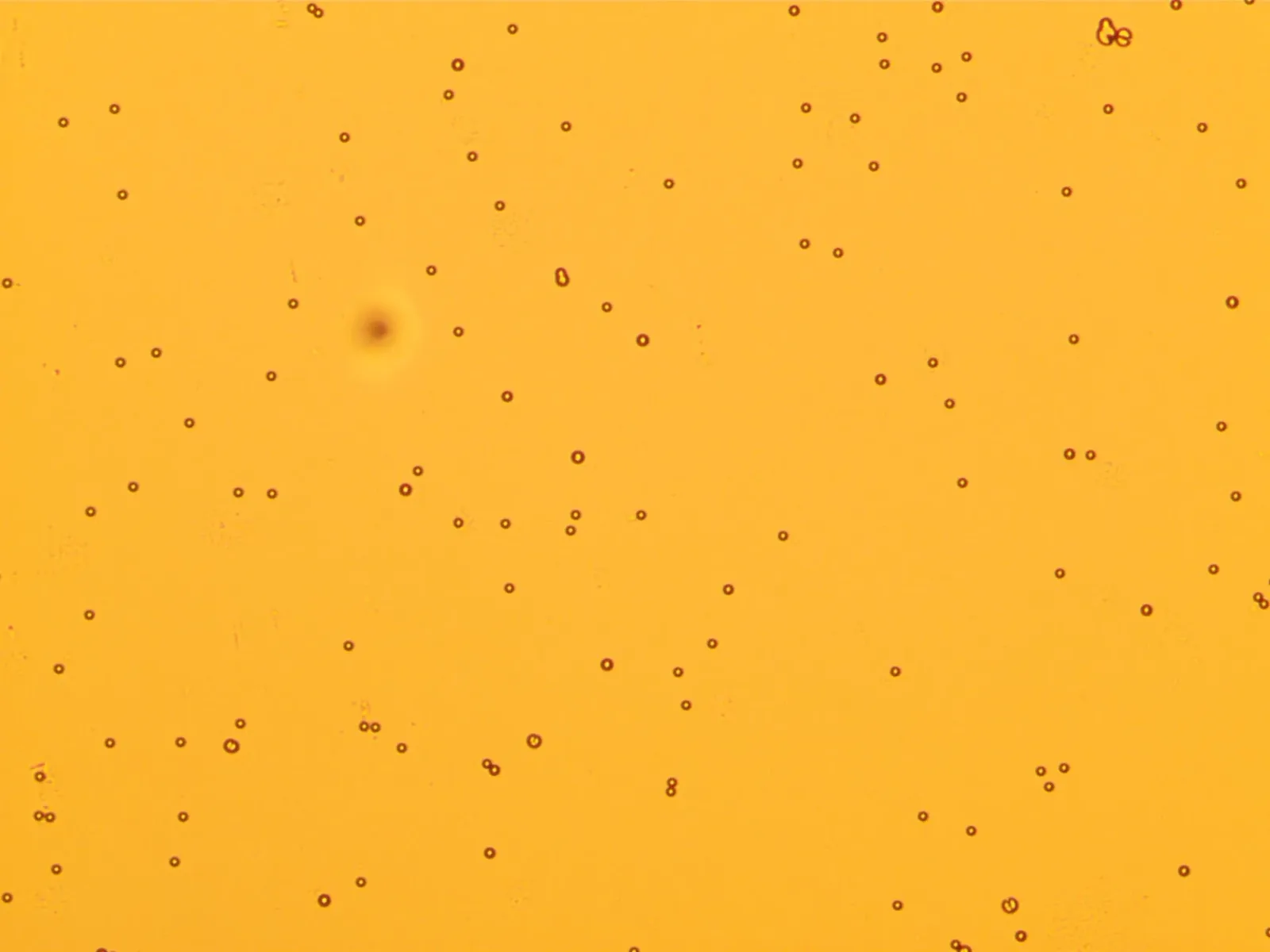 a3
