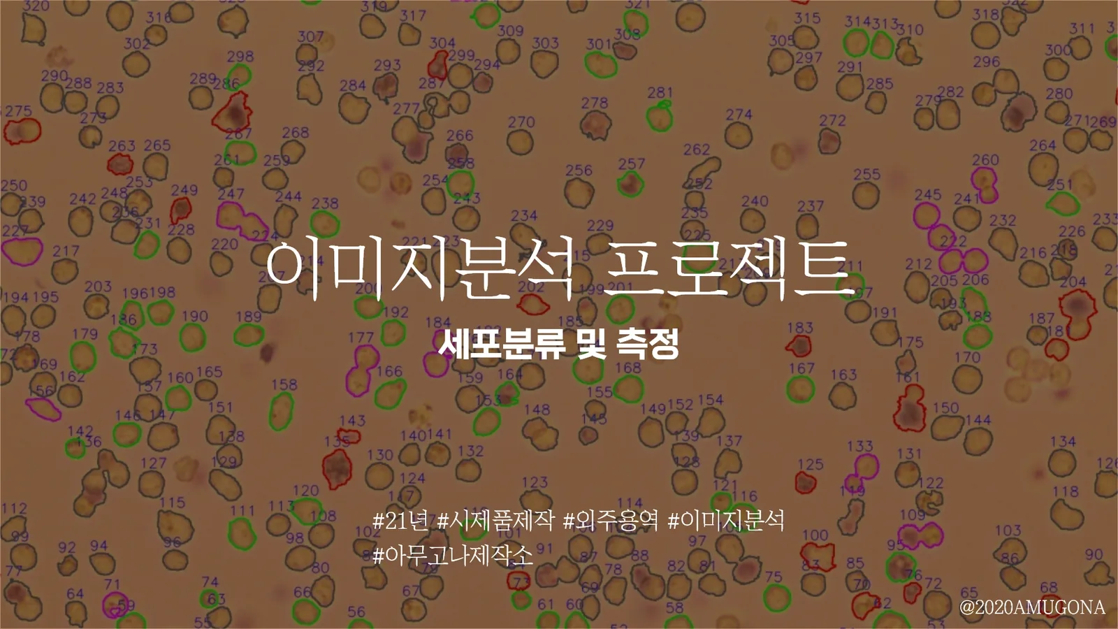 이미지분석과 시제품제작