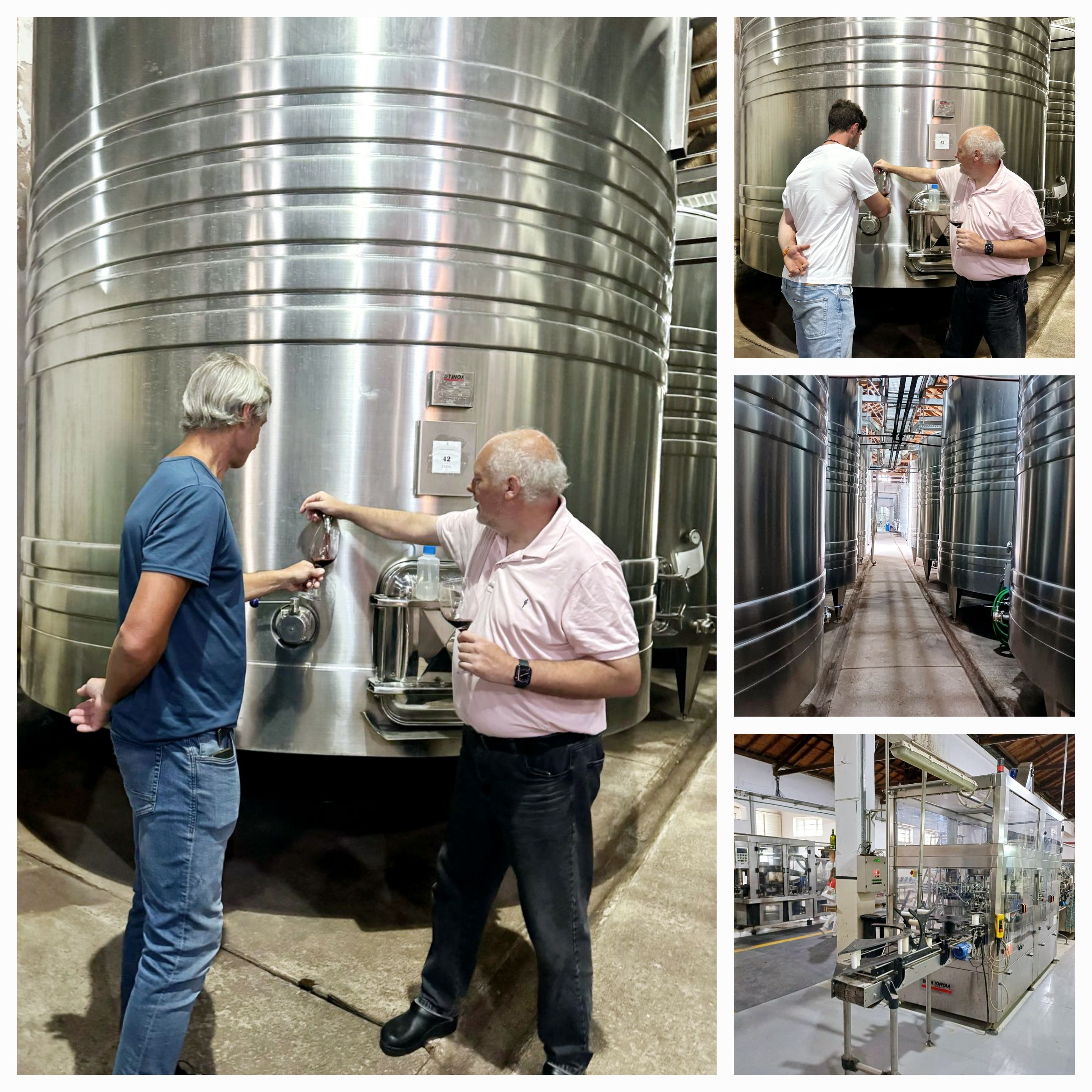 Cata de vino en Bodega Stellium, con su enólogo Hubert.