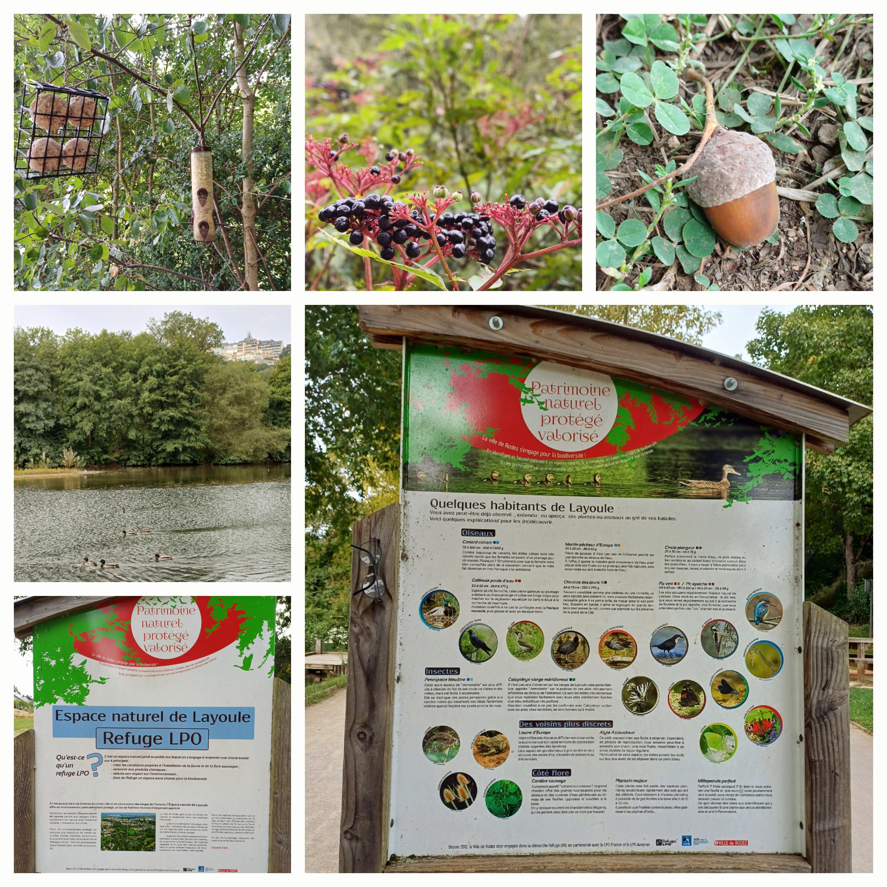 Parque Layoule