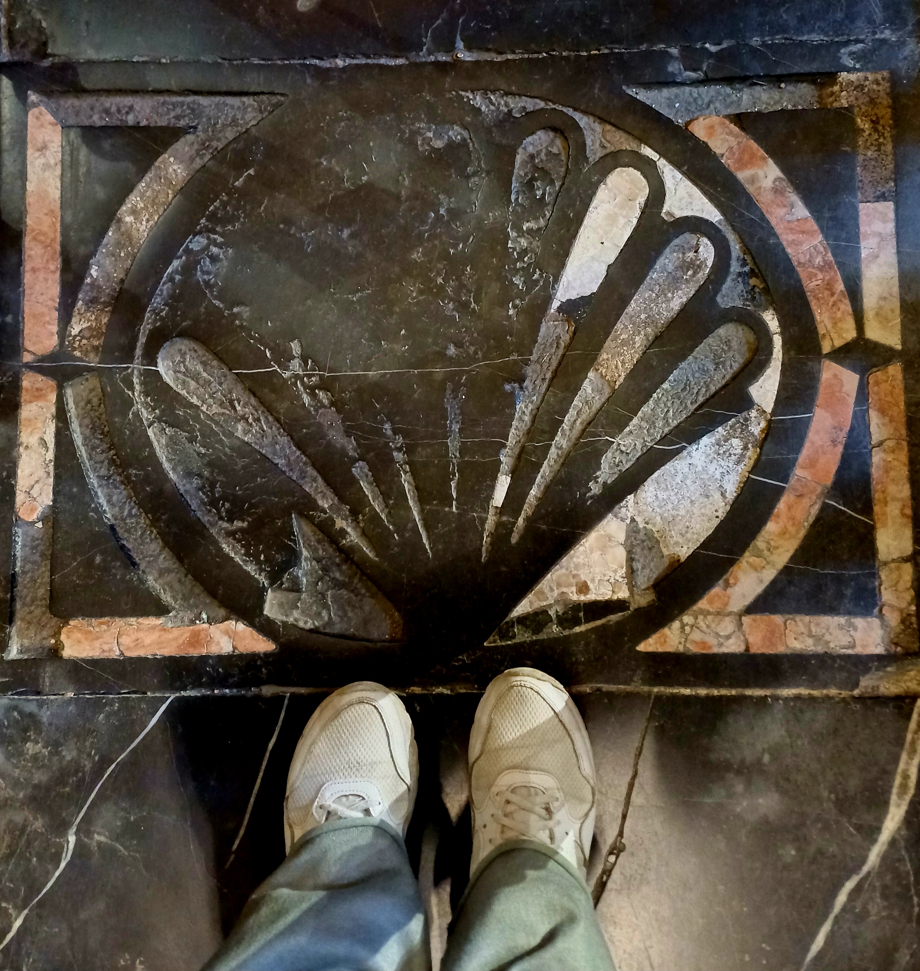 Concha de Vieira, Símbolo del camino de Santiago.