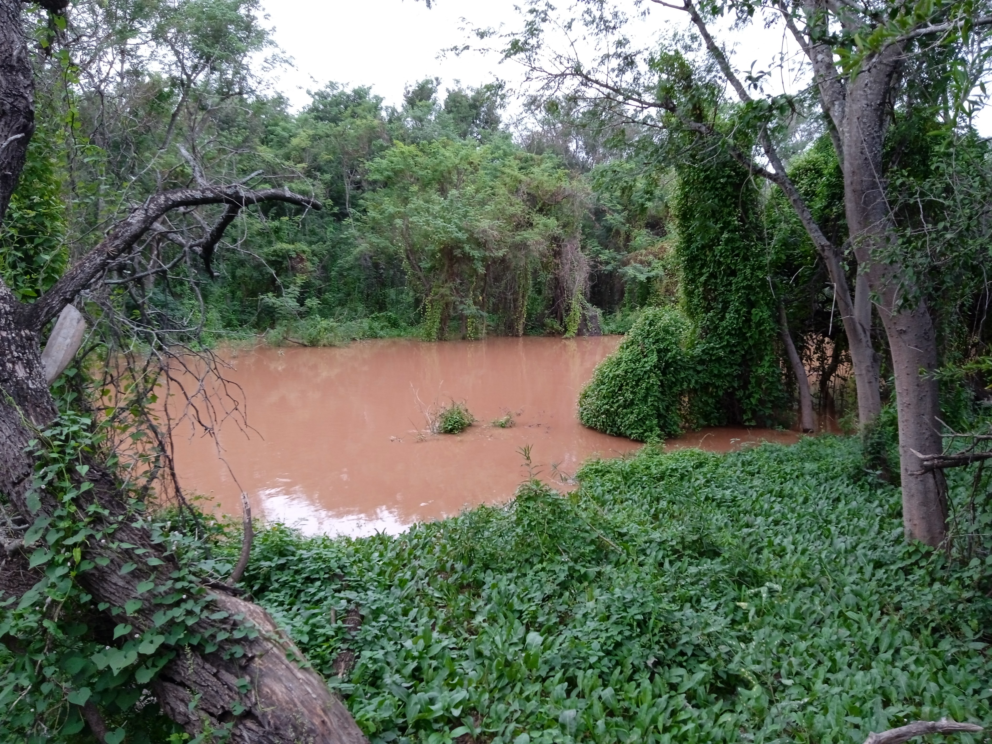 Río Bermejito.