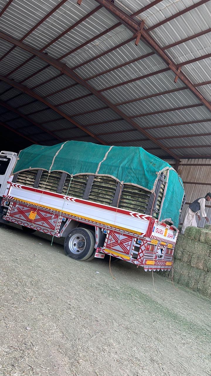 برسيم صافي شد وزن طول متر   - صورة 8