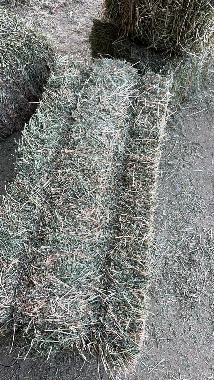 برسيم صافي شد وزن طول متر   - صورة 5