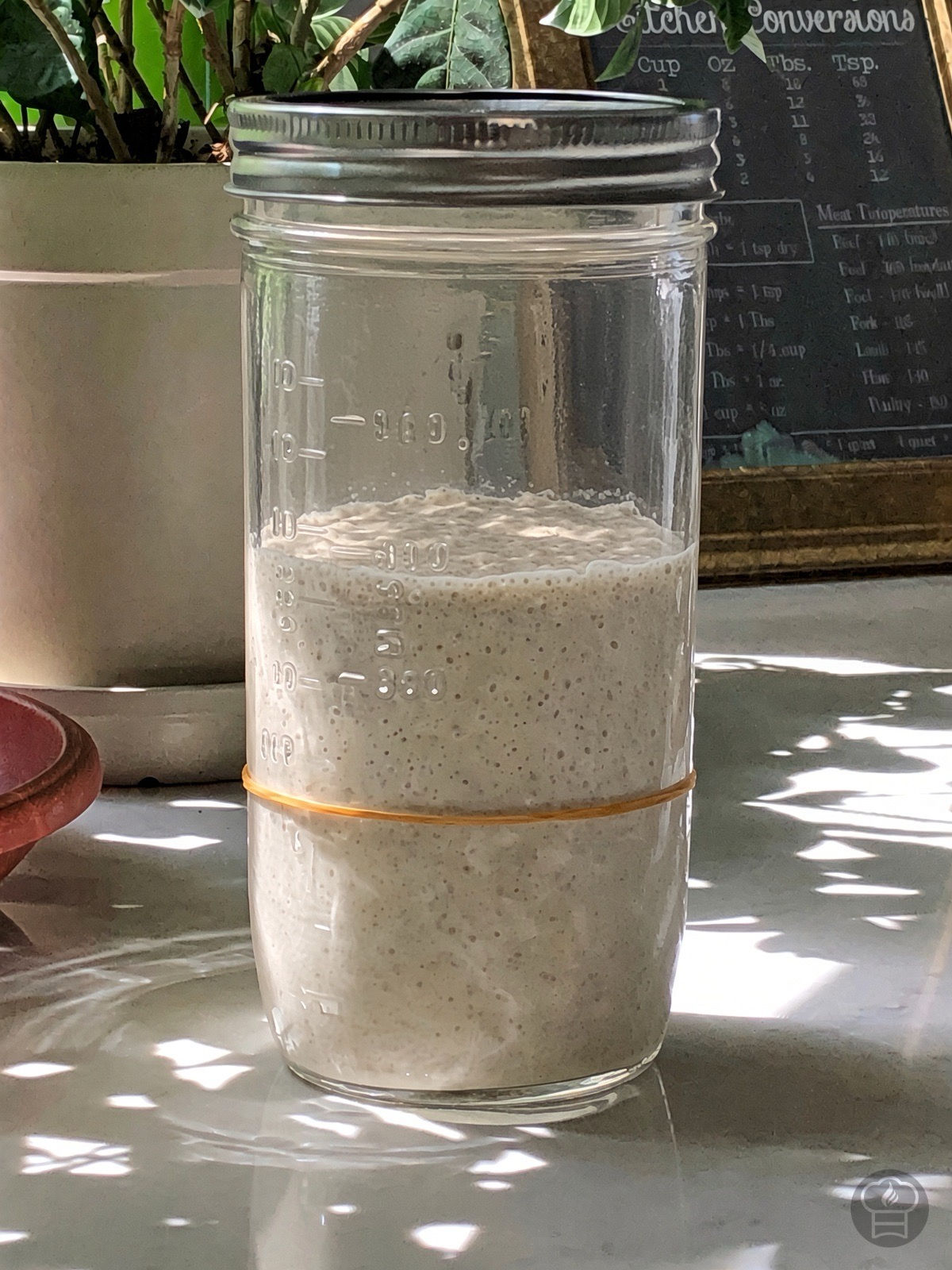 خميرة الساوردو (Sourdough Starter)