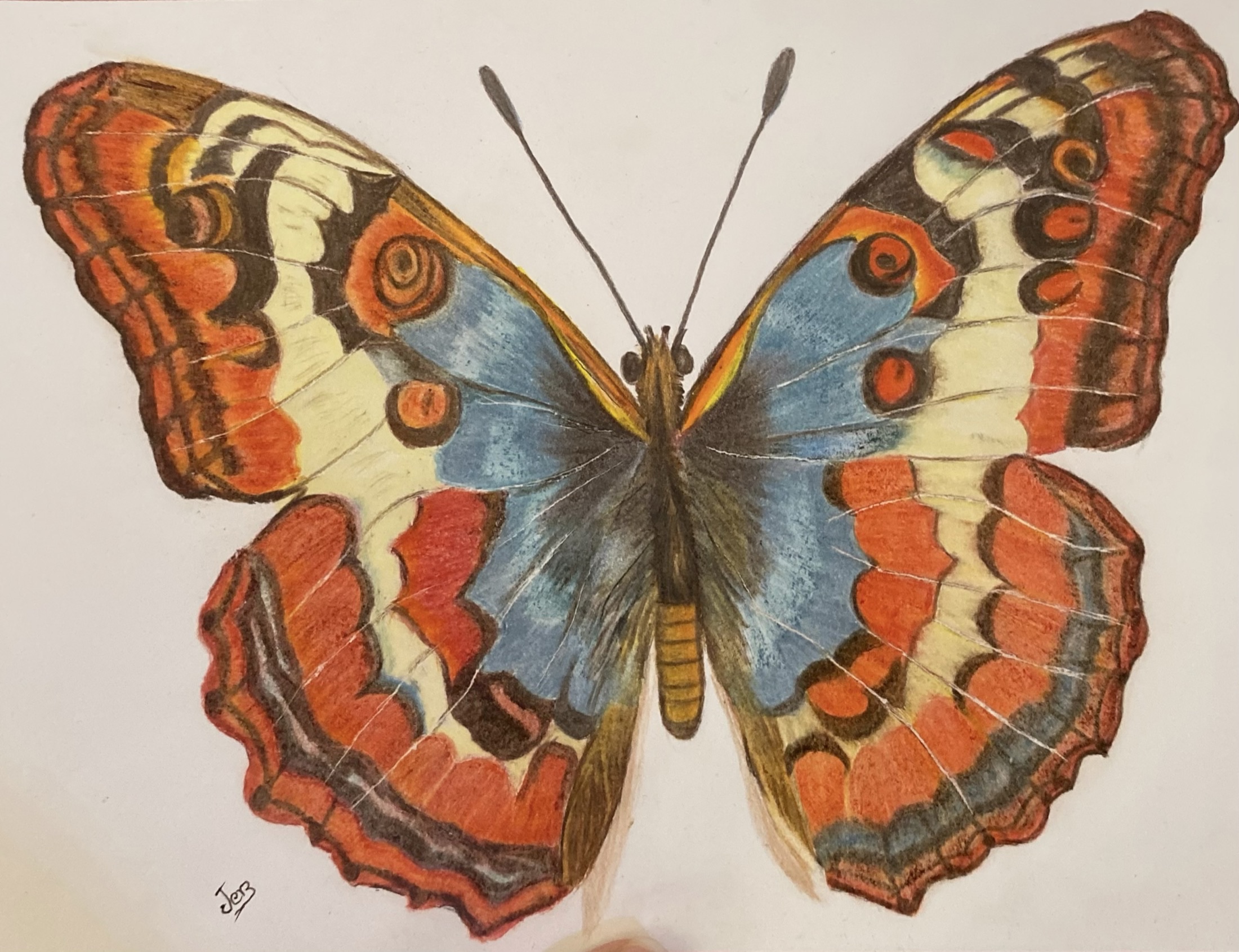 Coloured pencil workshop — artwork by Ana Sofía Goyes