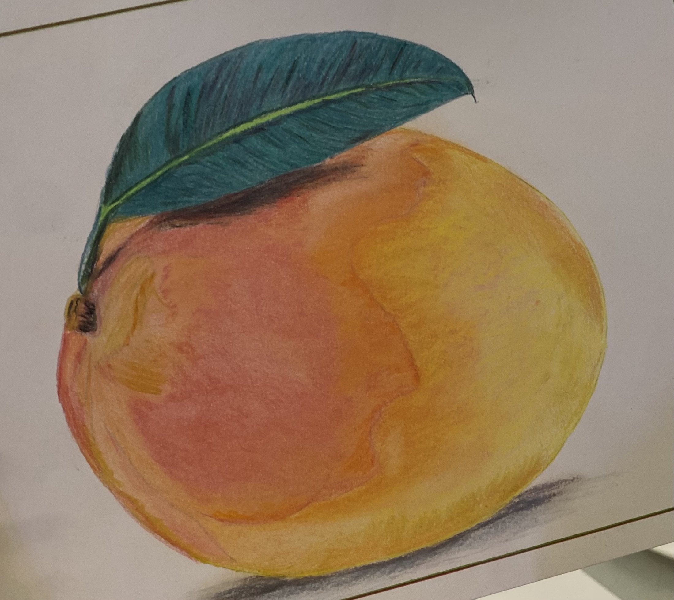 Coloured pencil workshop — artwork by Ana Sofía Goyes