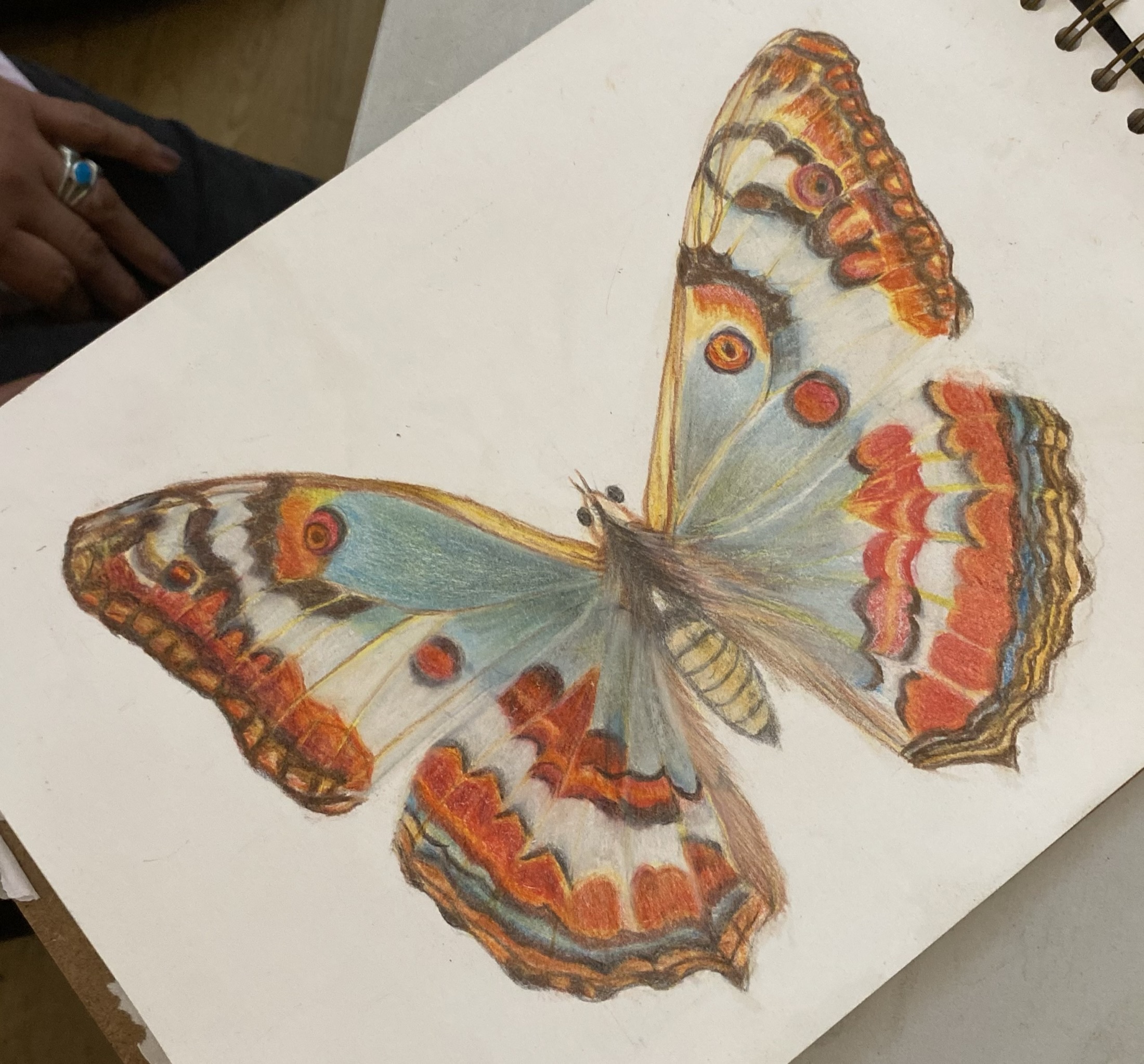Coloured pencil workshop — artwork by Ana Sofía Goyes