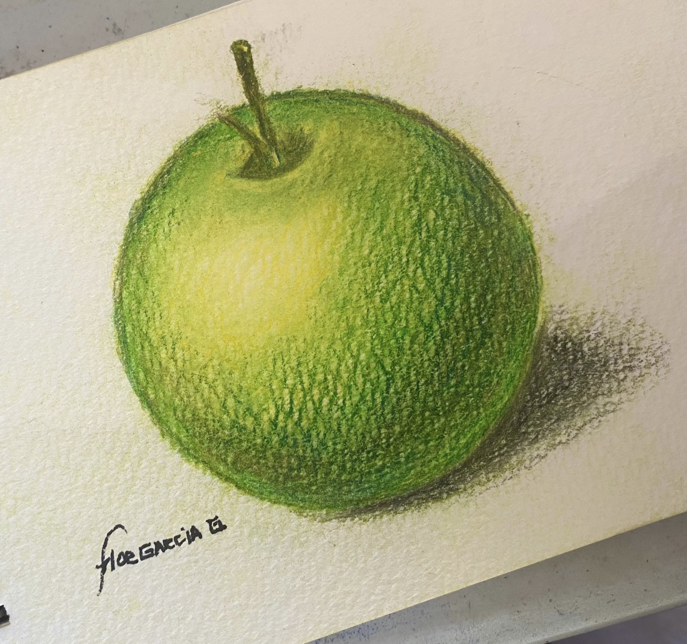 Coloured pencil workshop — artwork by Ana Sofía Goyes