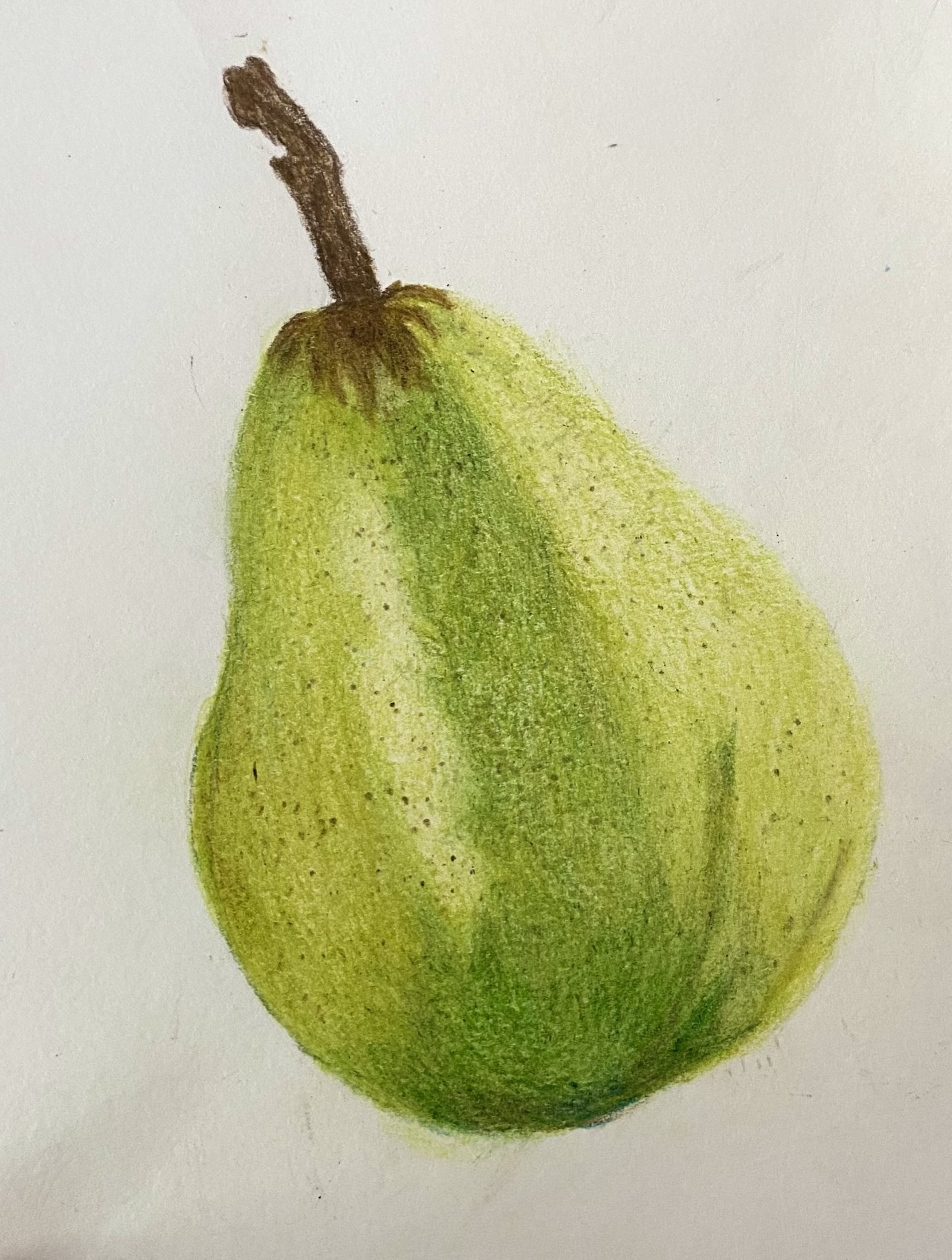 Coloured pencil workshop — artwork by Ana Sofía Goyes