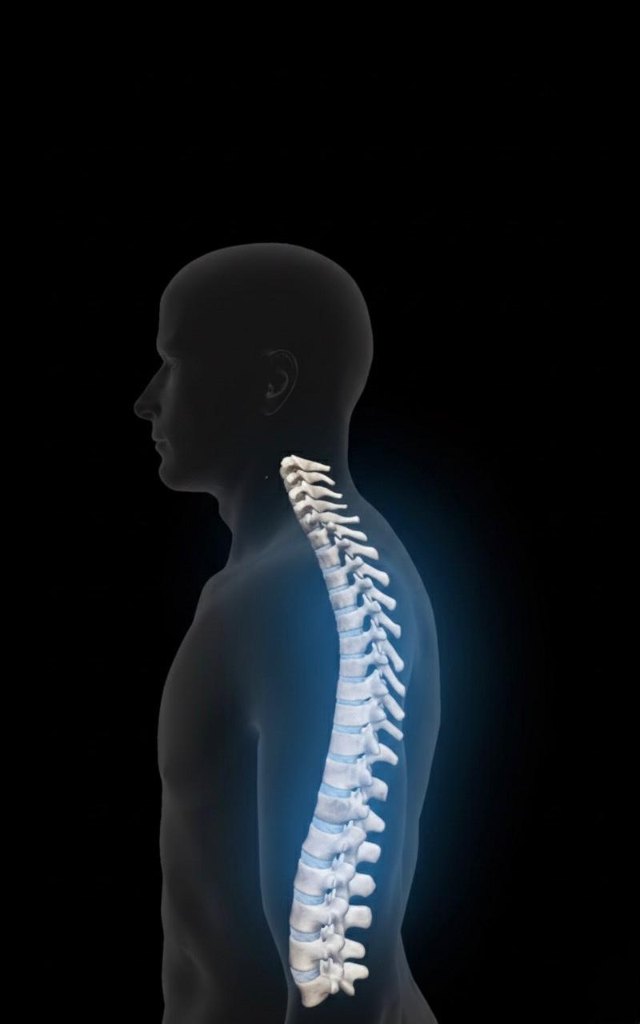 Spinal Injury: The Organoid Fix