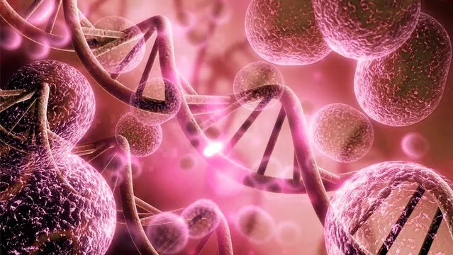 The Hope and Hype of Stem Cell Therapy