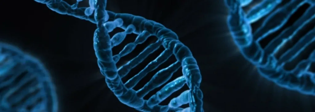 The Power Of CRISPR Gene Editing