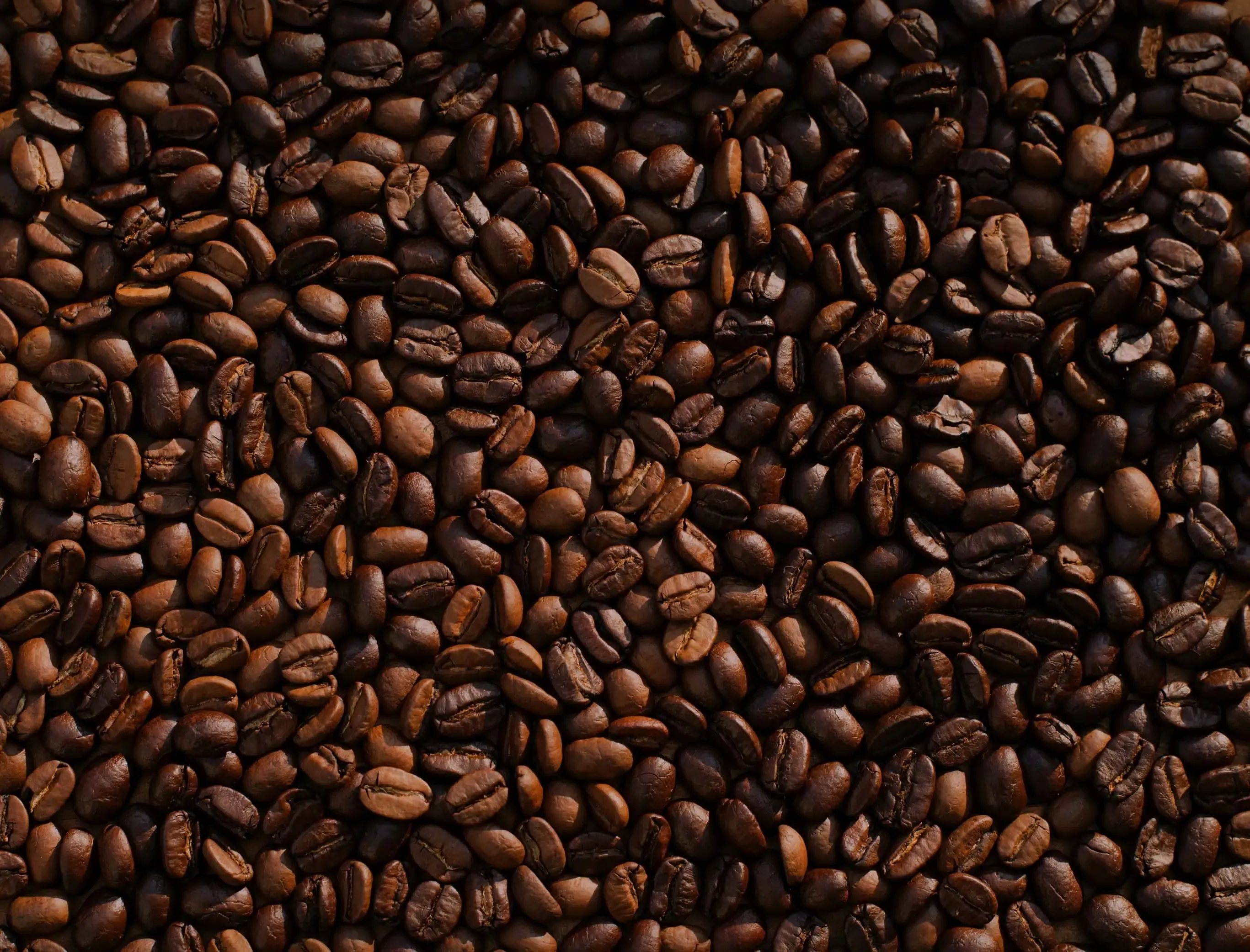 about heading beans banner