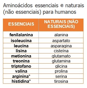 Aminoácidos essenciais e naturais para os humanos.