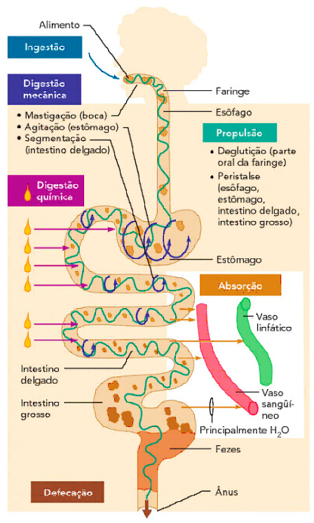 Atividades do TGI.