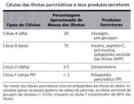 Células das ilhotas pancreáticas e seus produtos secretores.