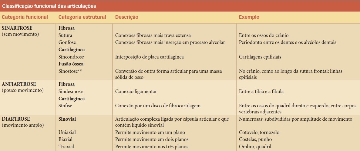 Classificação funcional das articulações.