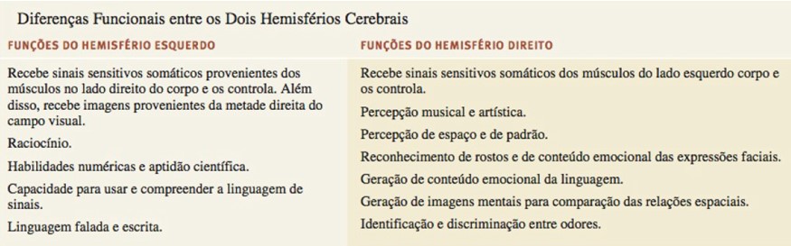 Diferenças funcionais entre os hemisférios cerebrais.