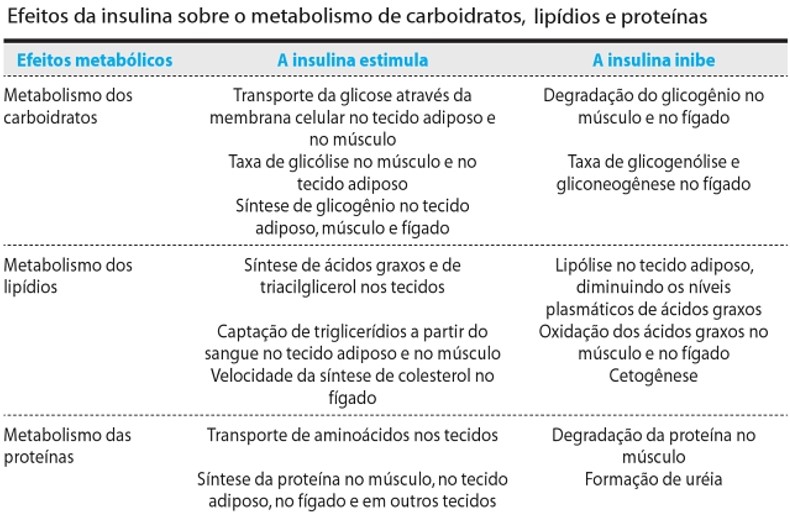 Efeitos da insulina sobre o metabolismo de carboidratos, lipídios e proteínas.