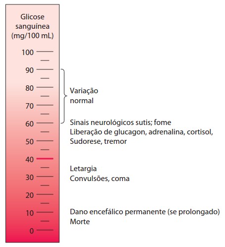 Níveis de glicose sanguínea.