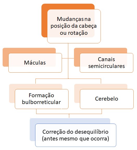 Correção do desequilíbrio.