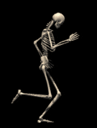Esqueleto.