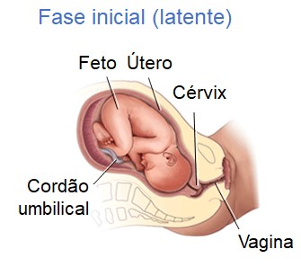 Estágio de dilatação: fase latente.